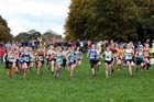 Start of the under-15 girls North East Harrier League, Blaydon. Photo: David T. Hewitson/Sports for All Pics